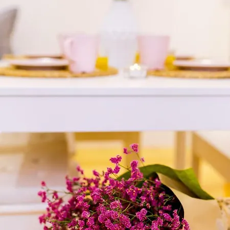 Apartmán Casa Dos Doutores, A Cozy In