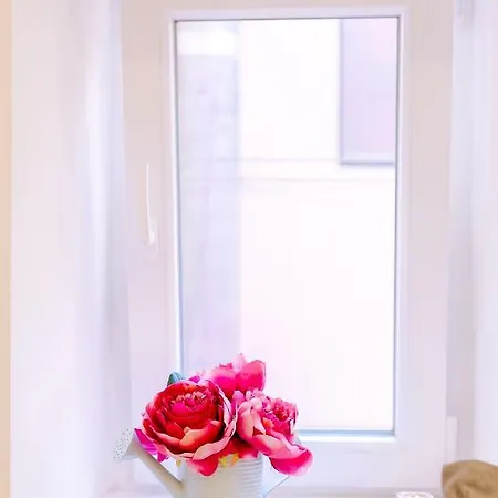 Apartmán Casa Dos Doutores, A Cozy In